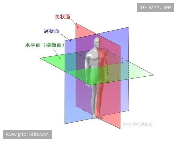 羽毛球新手必看:从力量训练到技巧提升的全面入门指南 羽毛球新手必看:从力量训练到技巧提升的全面入门指南
