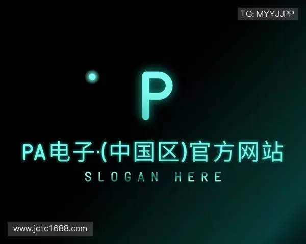 介绍PA电子